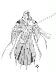 k-wraith-blurred2.jpg