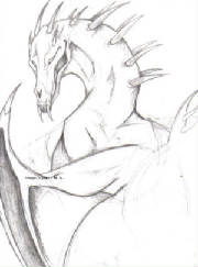 smadamdragon.jpg